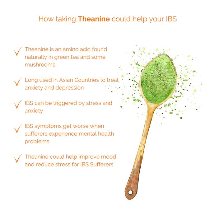 IBS Advanced Formula + | IBS Long Term | New for wholesale by Cambridge Natural Supplements