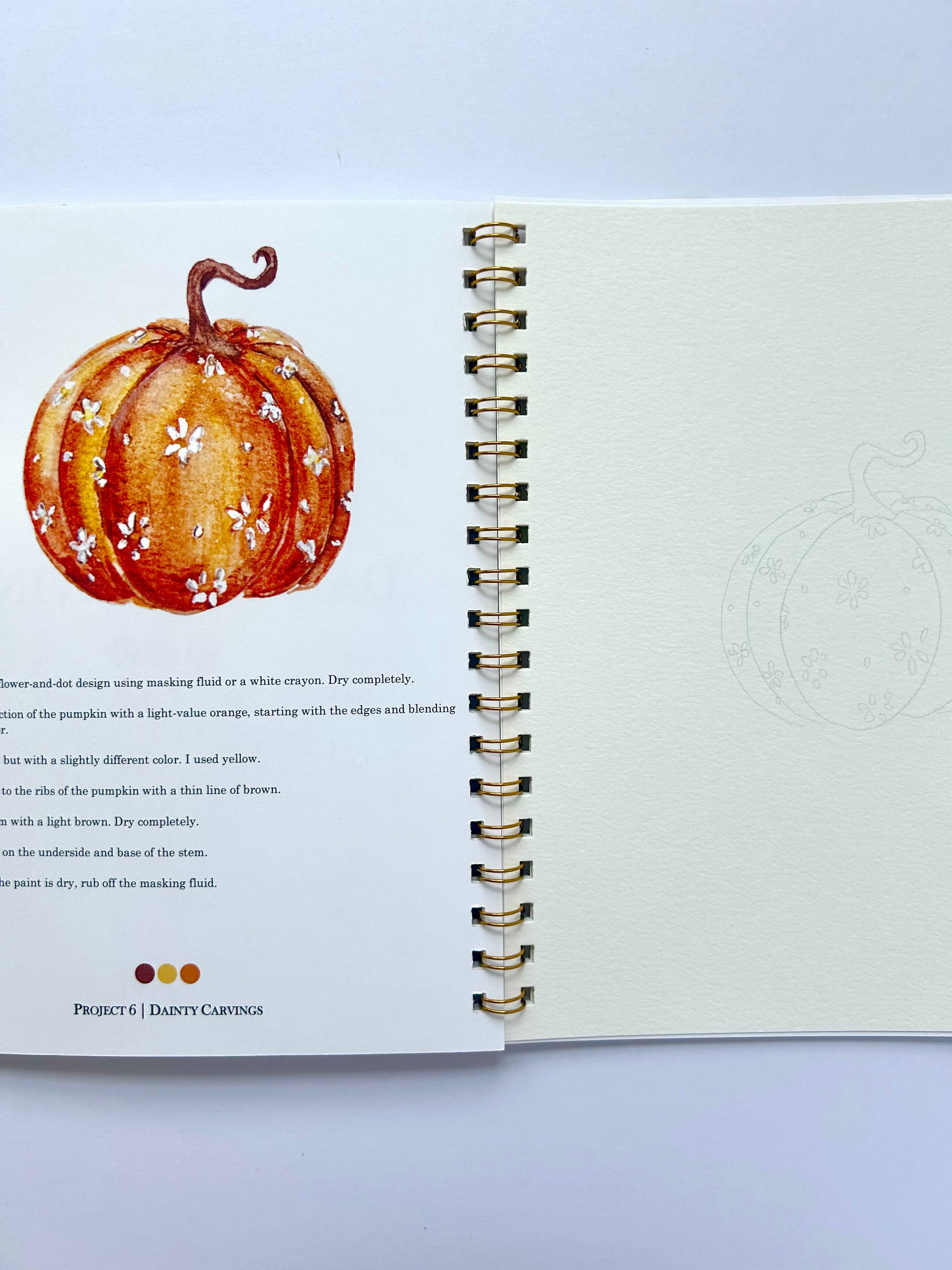Paint & Pigment Studios - Wholesale Sketchbook/Sketchpad - Autumn Watercolor Workbook 2