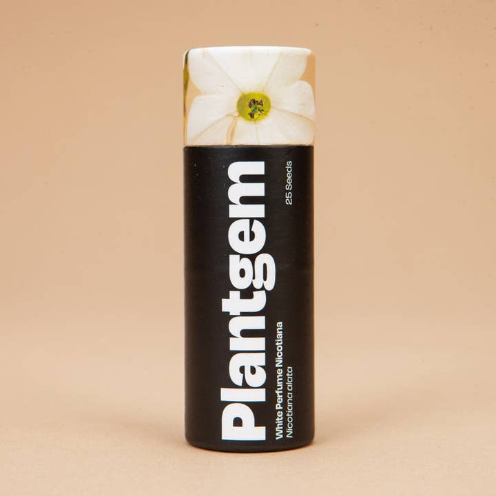 Plantgem - Wholesale Plant Seeds - White Perfume Nicotiana - 50 Seeds0