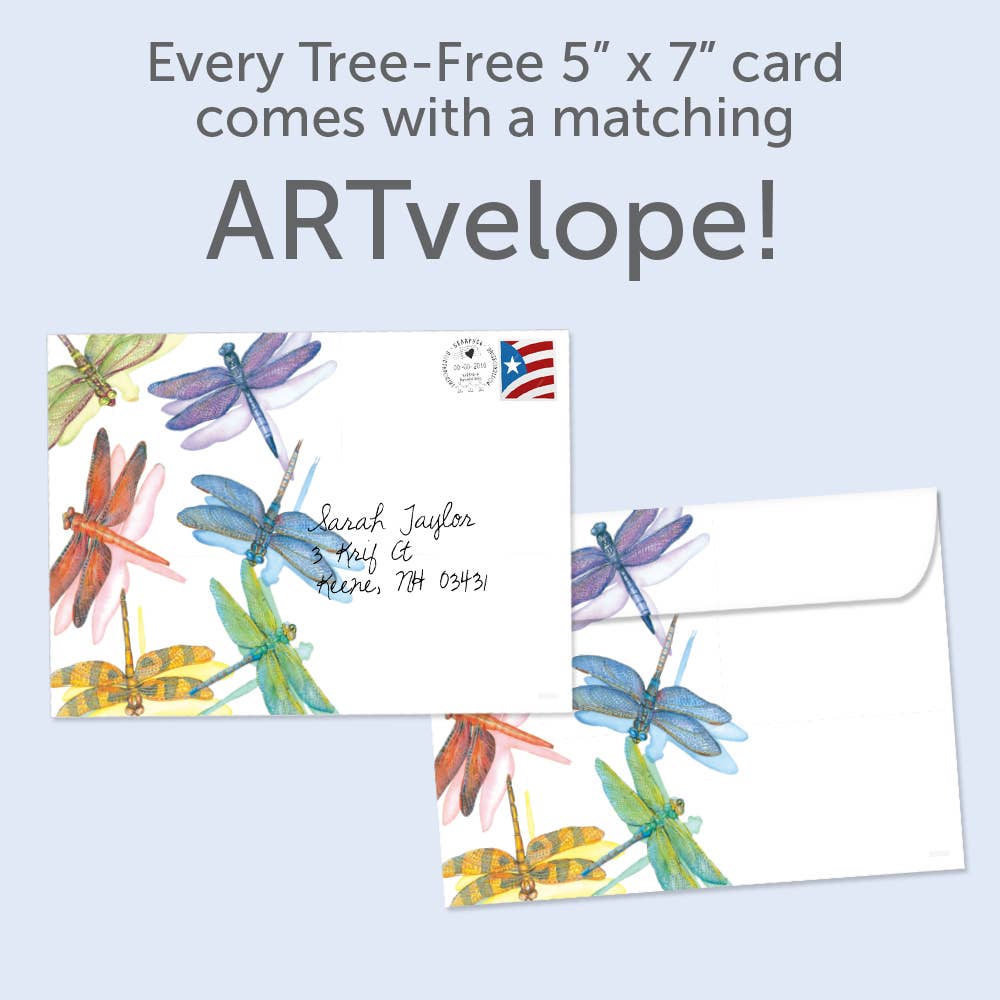 Tree-Free Greetings - Wholesale Everyday Greeting Card - Dragonflies All Occasion 6 Pack 890002