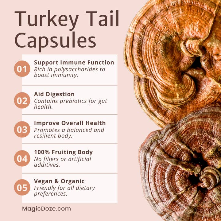 Magic Doze - Wholesale Oral Supplement/Vitamin - Turkey Tail Mushroom Capsules - Shield by Magic Doze™2