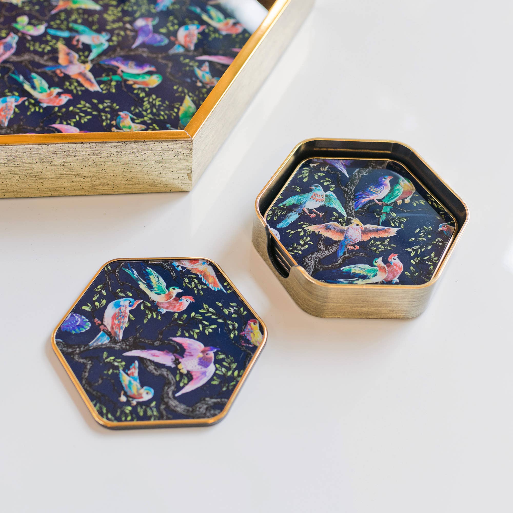 Febland - Wholesale Coasters - Birdity Absurdity Hexagonal Coasters1