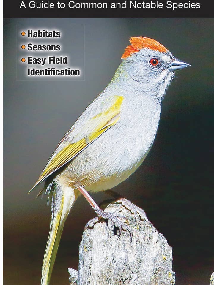 Uccelli del Nevada per la vendita all'ingrosso da parte di Quick Reference Publishing, Inc