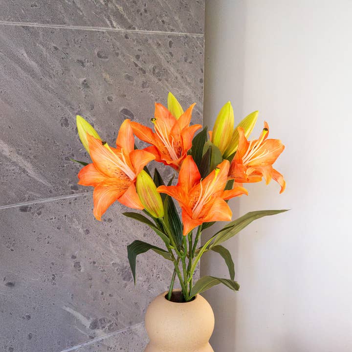 Orange lily for wholesale by Flowrette