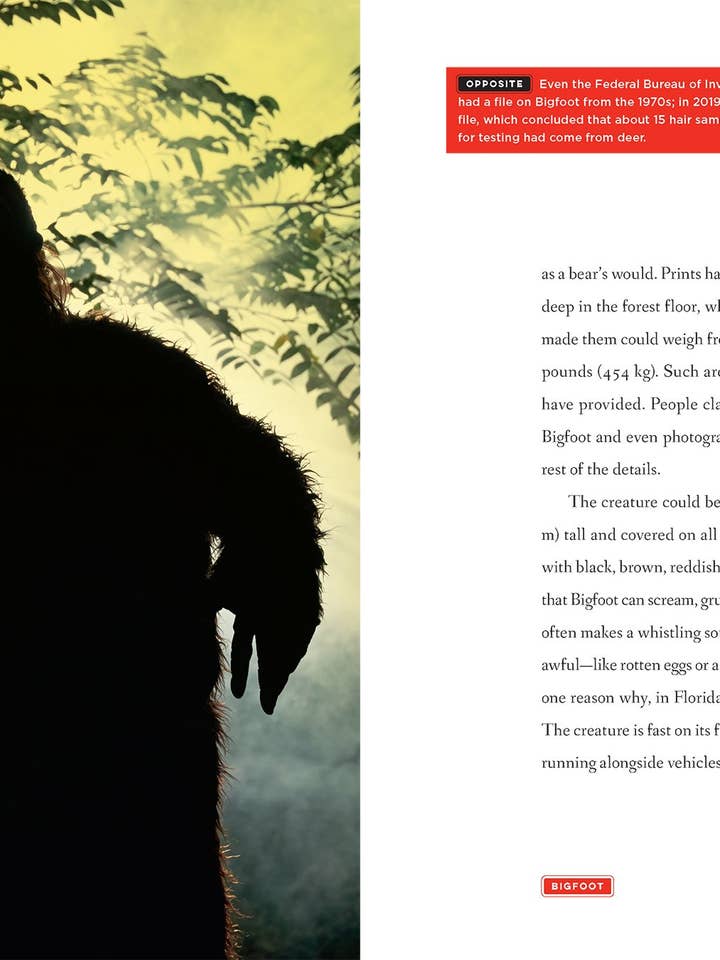 Odysseys in Mysteries: Pie Grande para venta al por mayor de The Creative Company