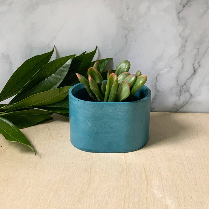 Left Corner Goods - Wholesale Plant Pot - Succulent Oval Concrete Planter6