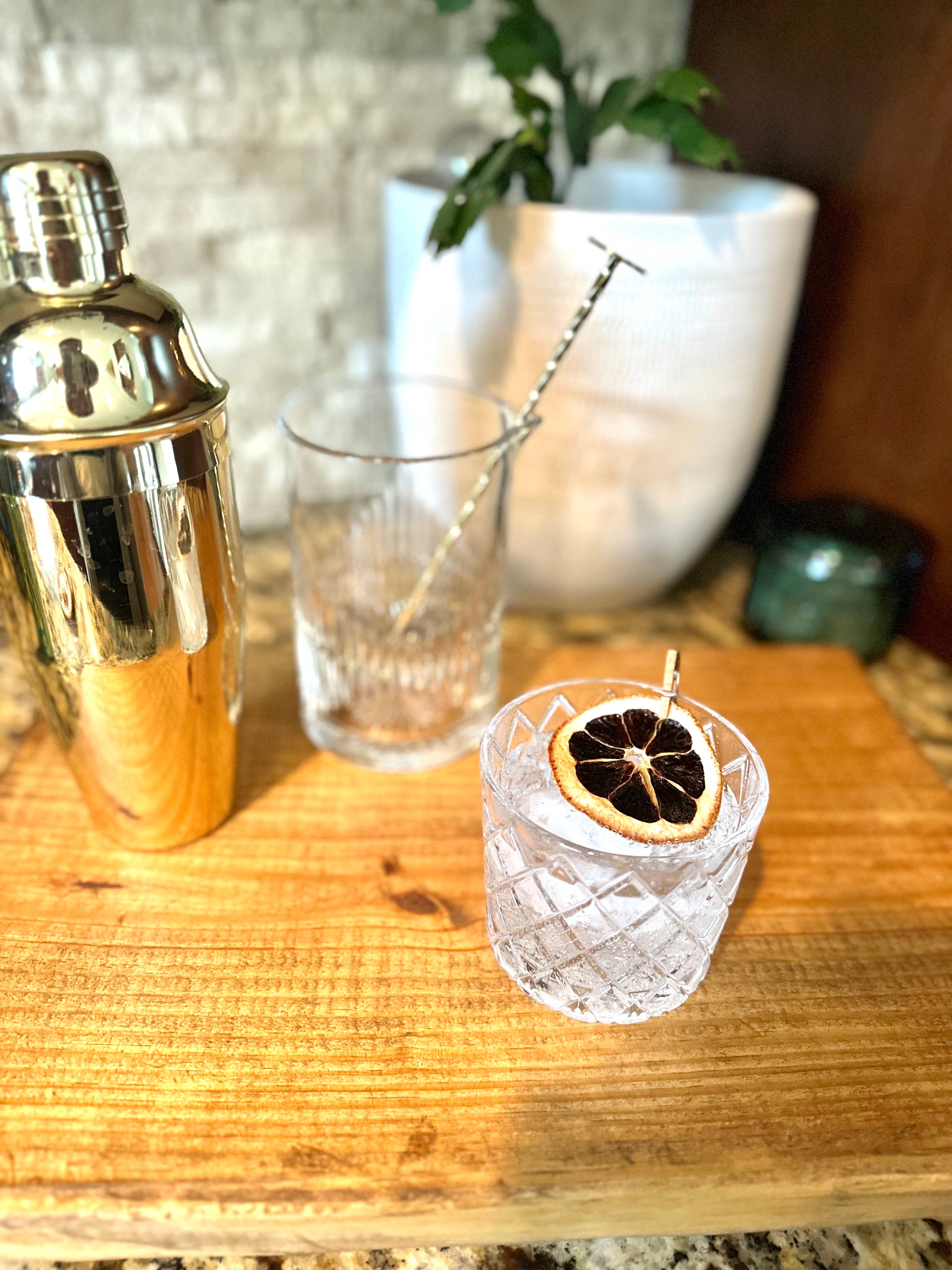 The Goodery – wholesale DIY Drink Kit – Clink Garnish Kits – Torkade citrusskivor för drycker och mat11