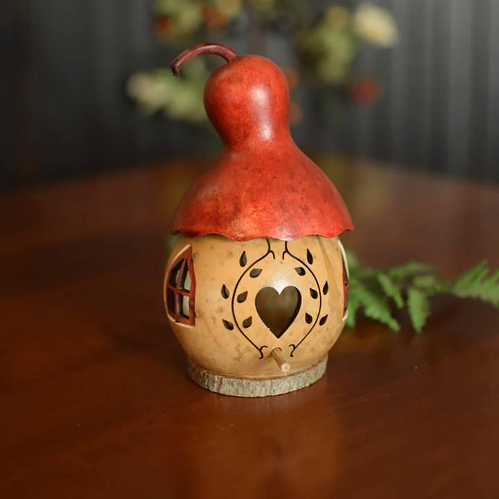 Meadowbrooke Gourds - Wholesale Decorative Tabletop Object - Indoor Decorative Birdhouse Gourd