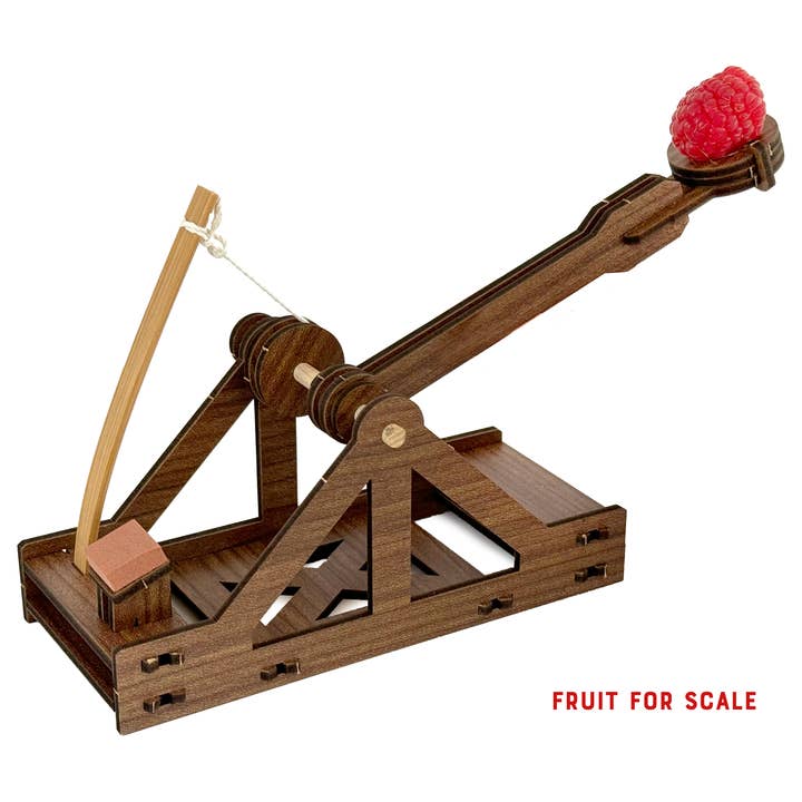 Copernicus Toys - Wholesale Building Set - Kids - mini Catapult : Wooden Engineering Model Building Kit