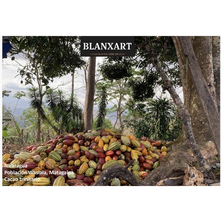 Eat Spain - Venta al por mayor Chocolate - Blanxart Organic Dark Chocolate Single Origin Nicaragua 85%