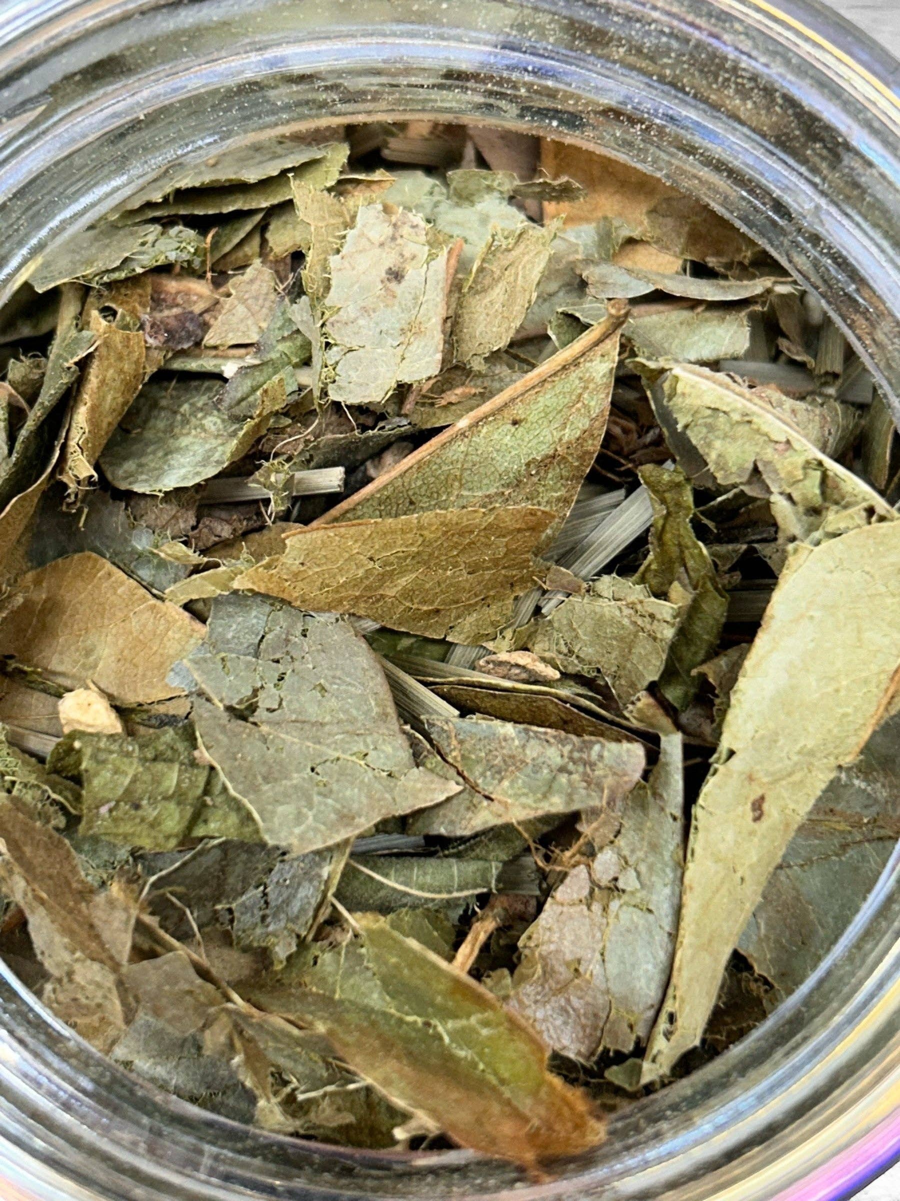 Back2Nature Herbals - Wholesale Health/Detox Tea - Soursop Leaf Tea | Wild-Harvested Herbal Wellness Tea2