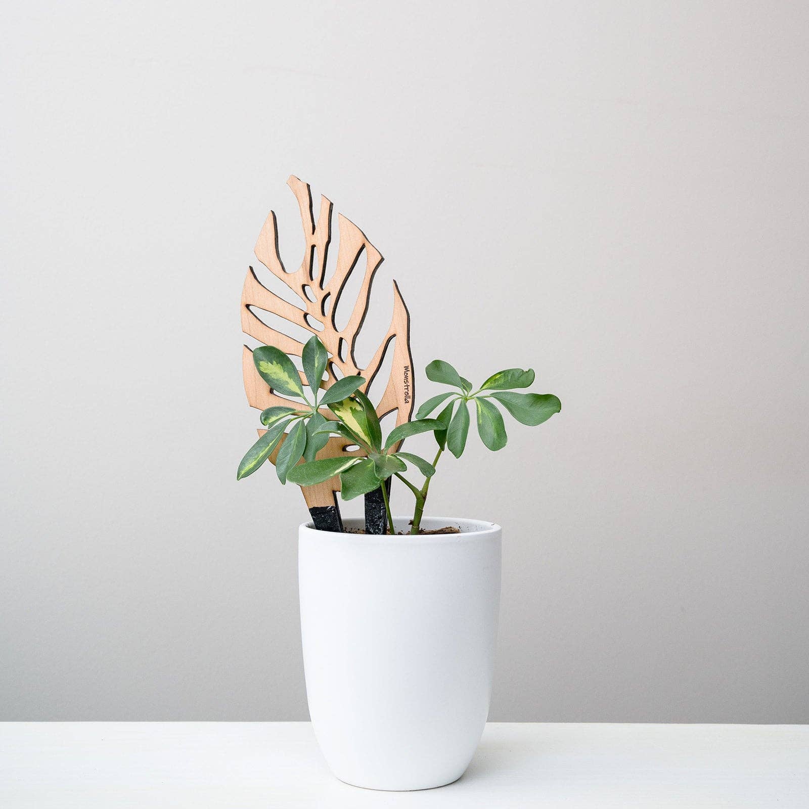 Treleaf - Vente Treillis - Monstrella - Treillis en bois en forme de feuille pour plantes d'intérieur7