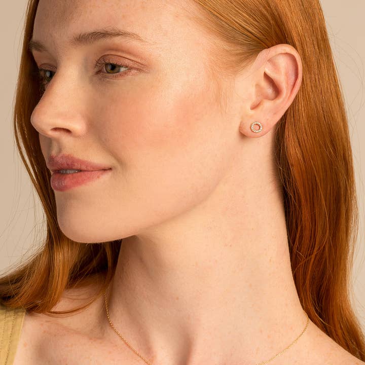 Bryan Anthonys – Engroshandel Ørestikkere – Family Stud øreringe4