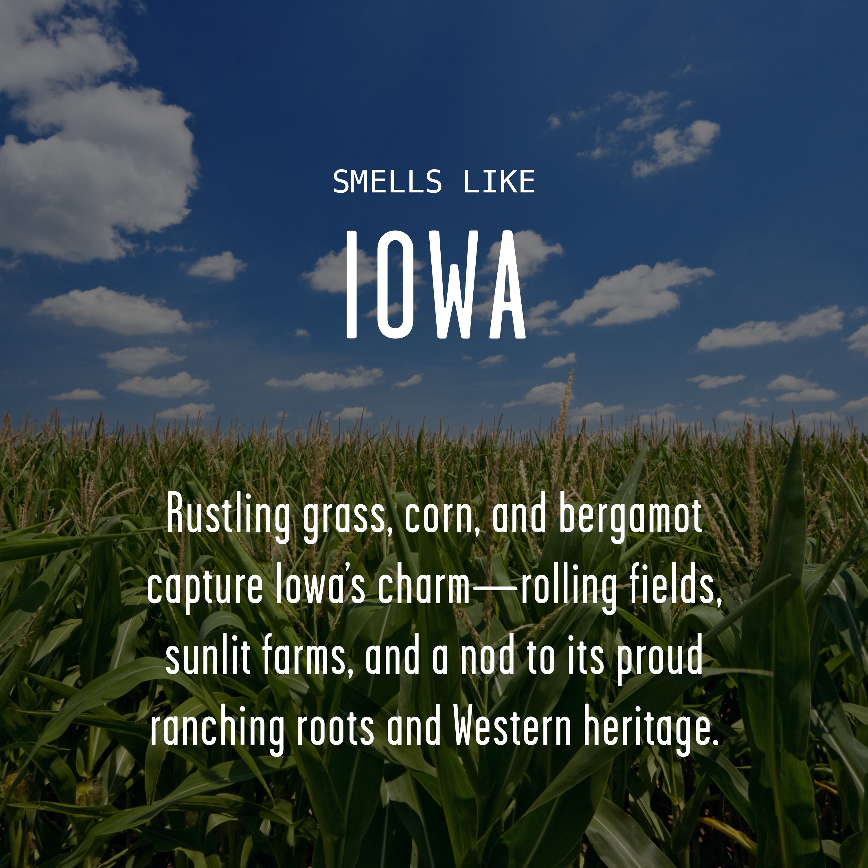 Soy and Sass - Wholesale Jar/Filled Candle - 'There's No Place like Iowa' Soy Wax candle - State Gifts1