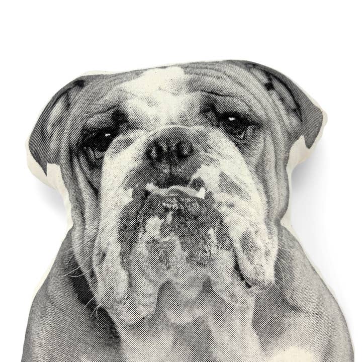 Broderpress - Wholesale Throw/Decorative Pillow - Bulldog Pillow