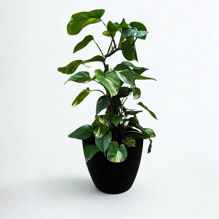 13" Cylinder Planter - Sustainable Recycled Materials for wholesale by IGS