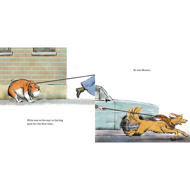 Simon & Schuster - Wholesale Book - Kids - Elvis & Romeo by David Soman