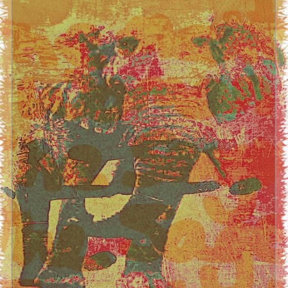 Cobertor tecido Spirit Animal por atacado de 3 Piece Urban Artisan