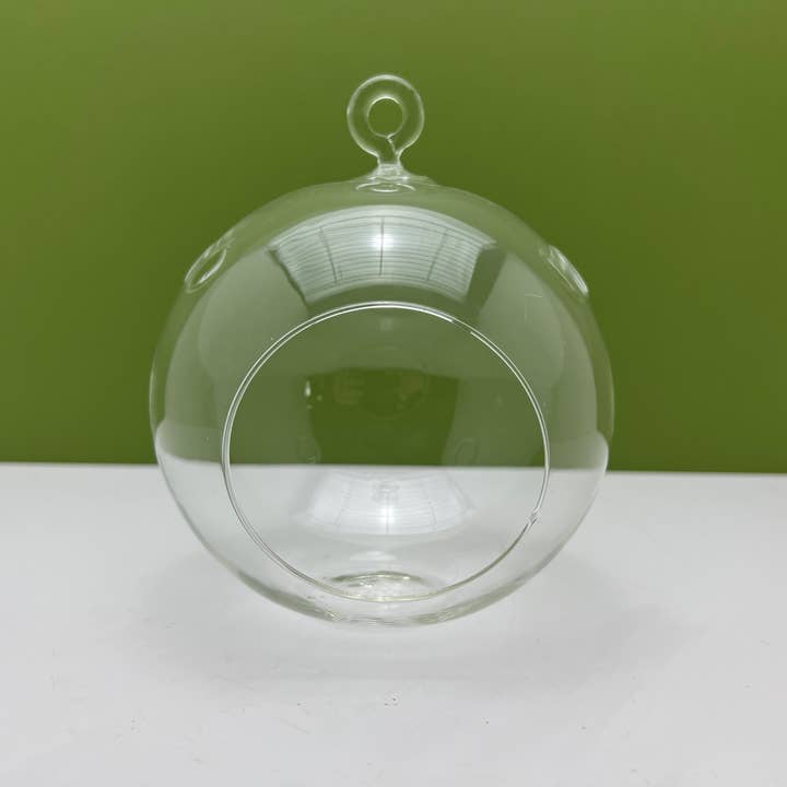 Mystical Woodlands - Wholesale Terrarium - Round Glass Orb Terrarium Planter with Hanging Hook