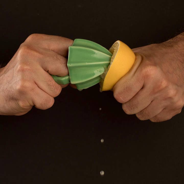 Object Rights - Wholesale Juicer - Ring Juicer6