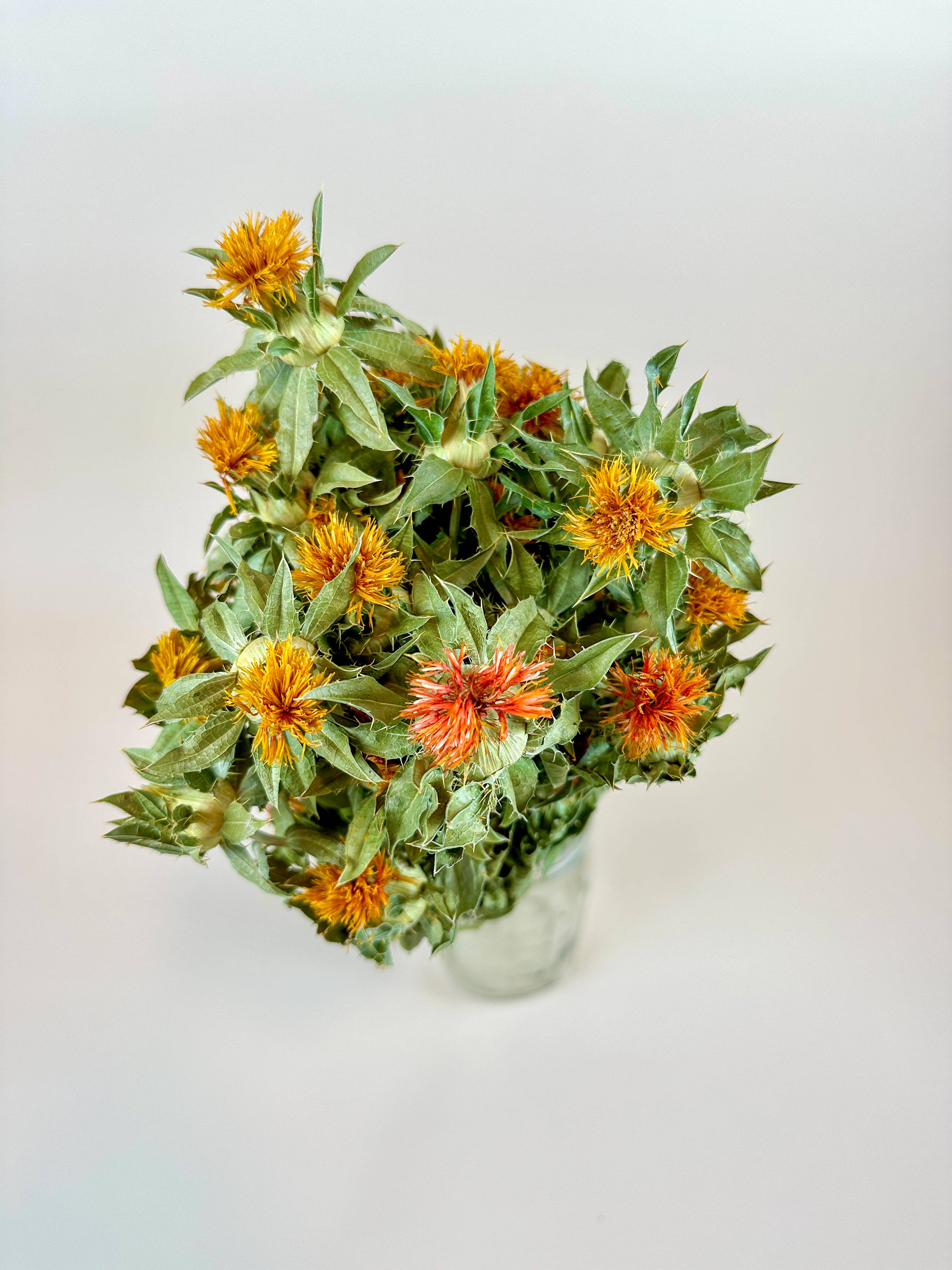 Lovejoy Farms Premium Dried Flowers - Wholesale Dried/Pressed Flowers - Autumn Safflower – Naturally Dried Flowers1