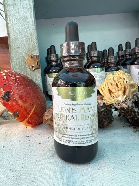 Tintura di funghi Lion's Mane Neural Regain per la vendita all'ingrosso da parte di Rooted Apothecary
