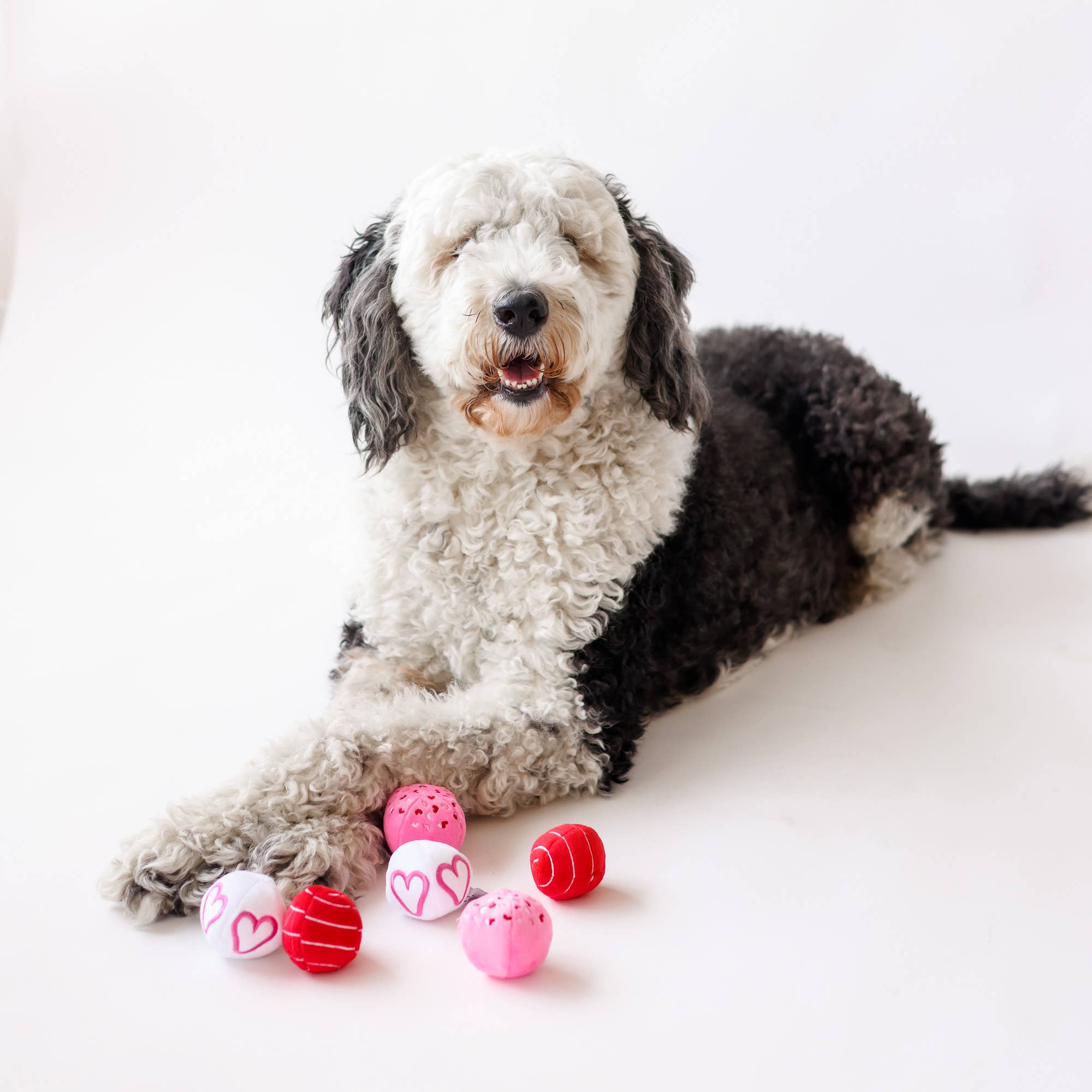 Midlee Designs – wholesale Pet plush toy – Dog – Midlee Valentine Plush Balls Dog Toy - Set of 66
