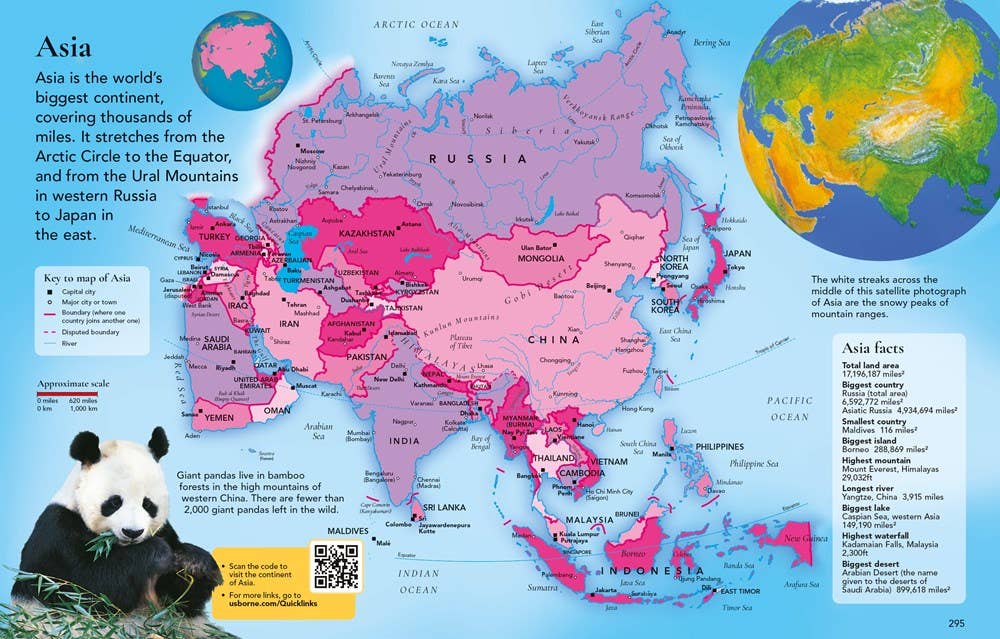 HarperCollins - Wholesale Reference Book - Usborne Children's Encyclopedia : Usborne4