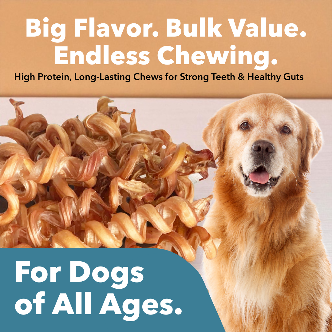 Mighty Chewz - Wholesale Pet Treats - Dog - 6-9" Bulk Bully Springs (Case Price: $3.51/Stick)3