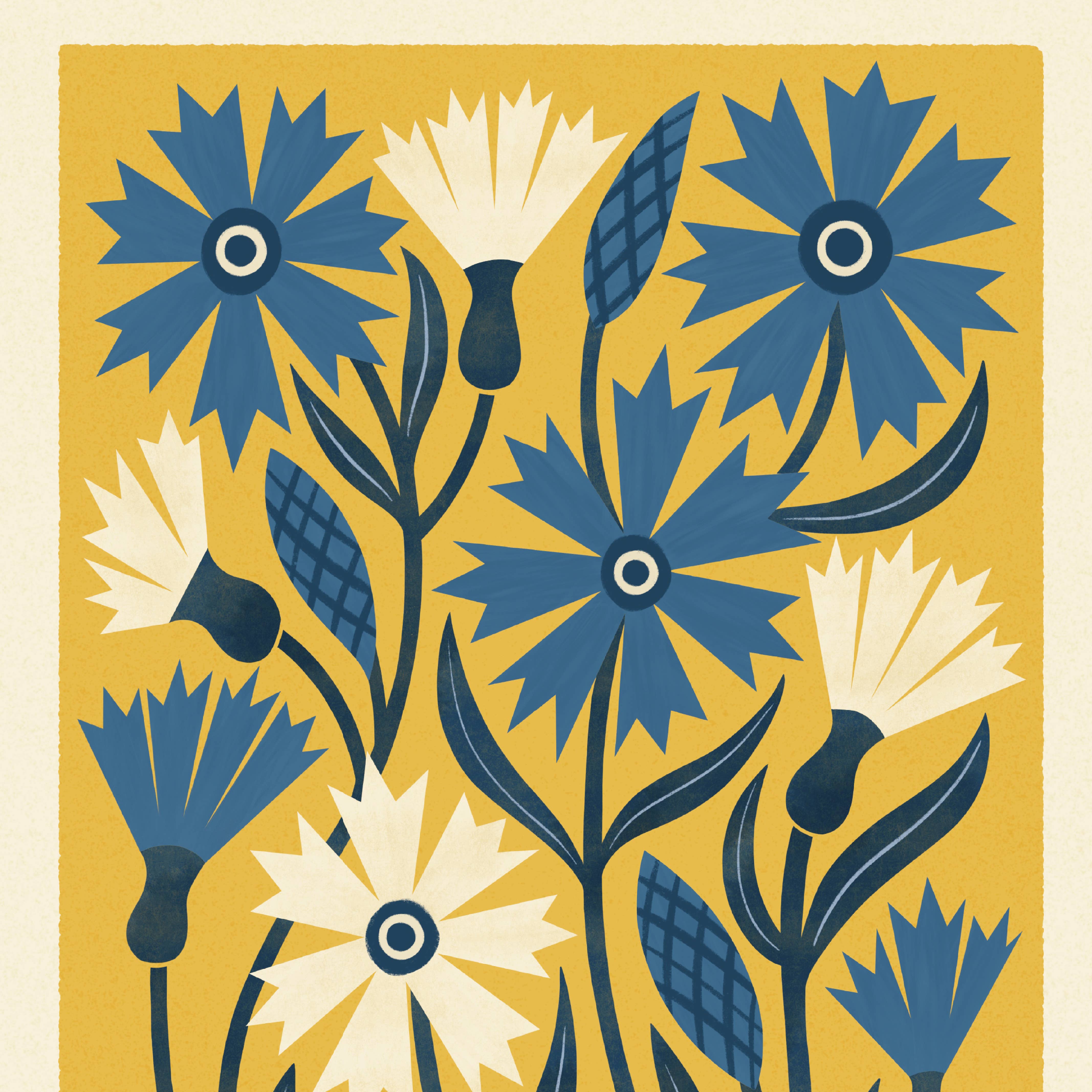 Bird & Co Studio - Wholesale Art Print - Cornflower | Modern-Retro Wildflower Art Print Wall Decor3
