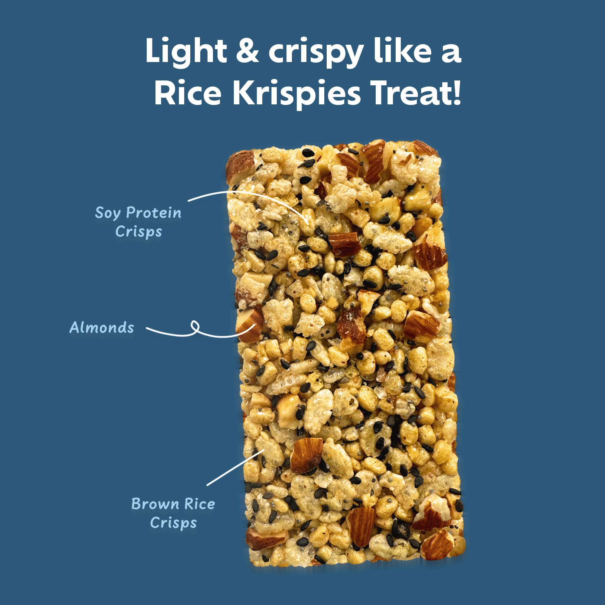 Afar Foods - Wholesale Snack Bar - Savory Protein Bar - American Everything Bagel Flavor3