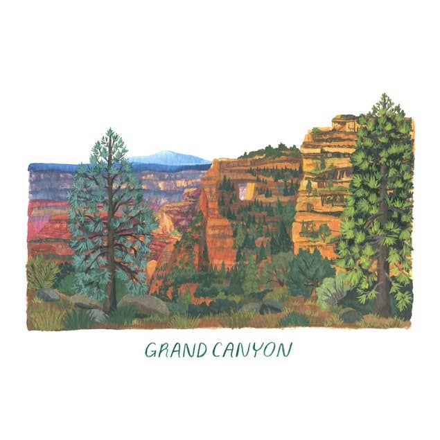 Grand Canyon Nationalpark for engroshandel hos Erin Vaughan Illustration
