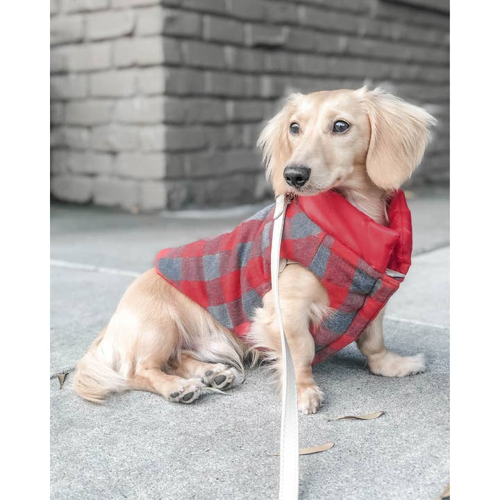 DJANGO - Wholesale Pet coat – Dog - Reversible Puffer Dog Coat - Lava Red1