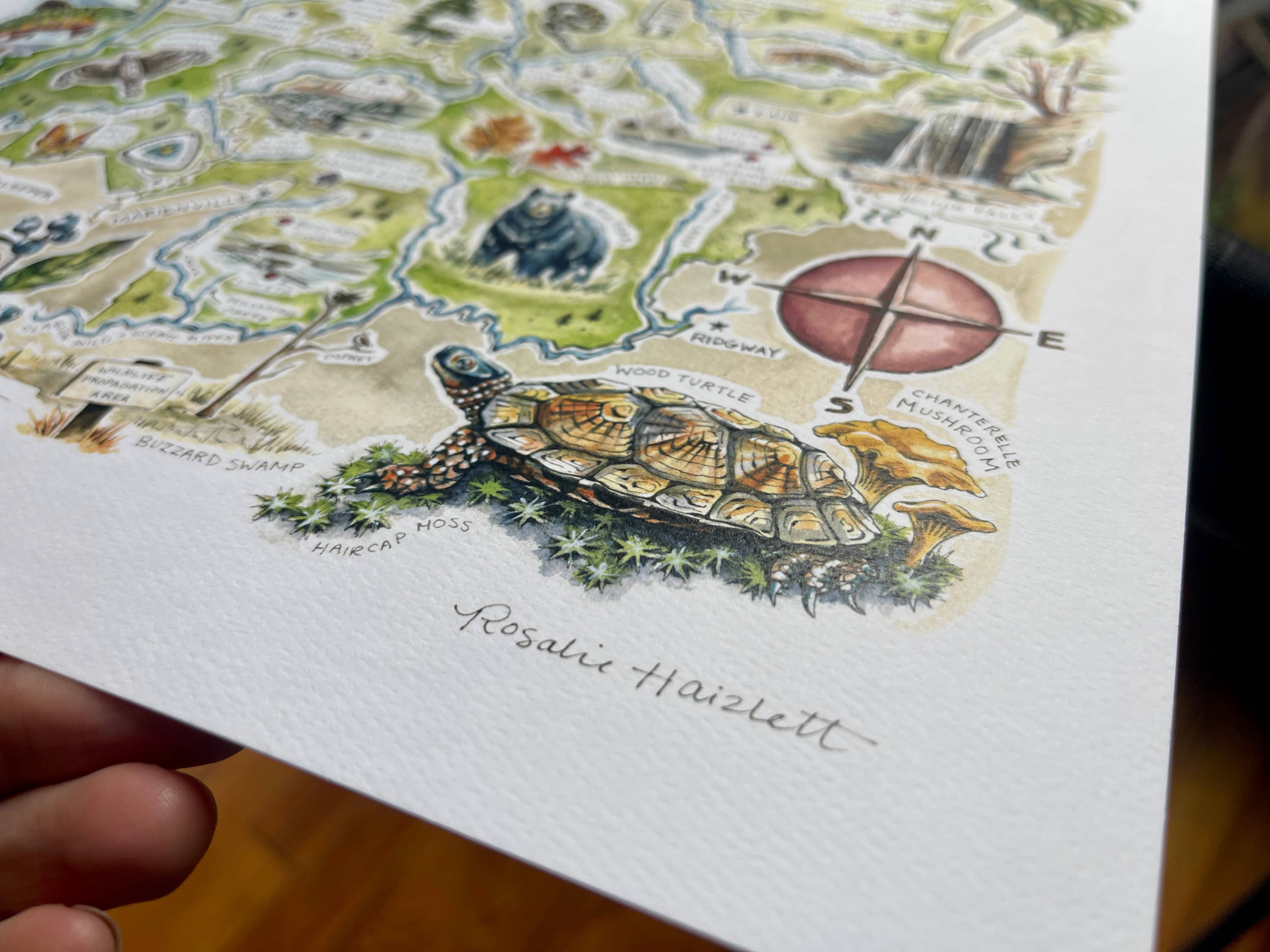 Rosalie Haizlett Illustration – wholesale Map – Allegheny National Forest Illustrated Map4