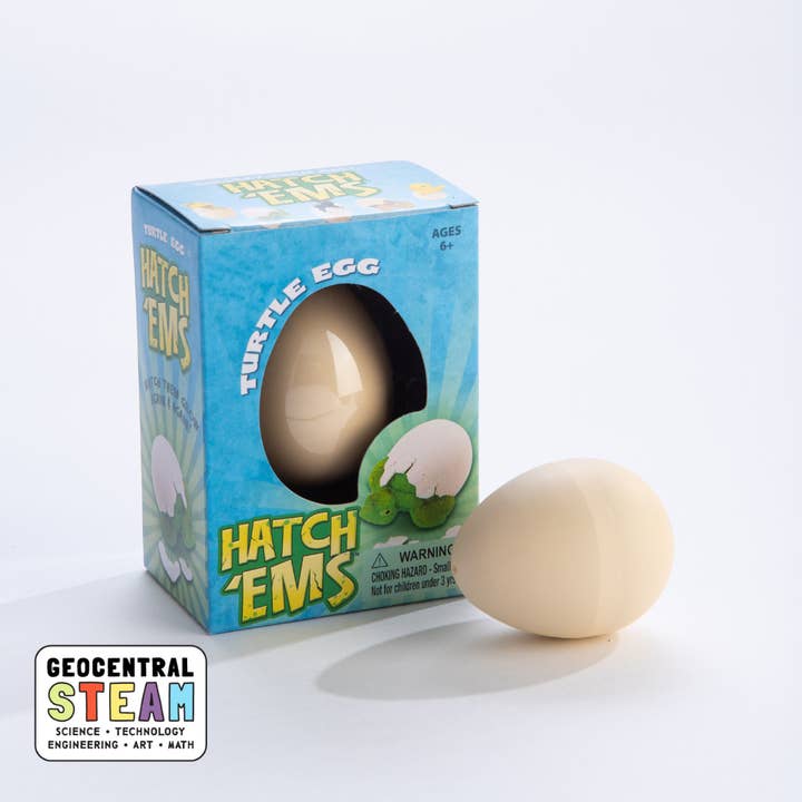 Turtles (Mini Hatch'ems) | Watch them Grow! for wholesale by GeoCentral