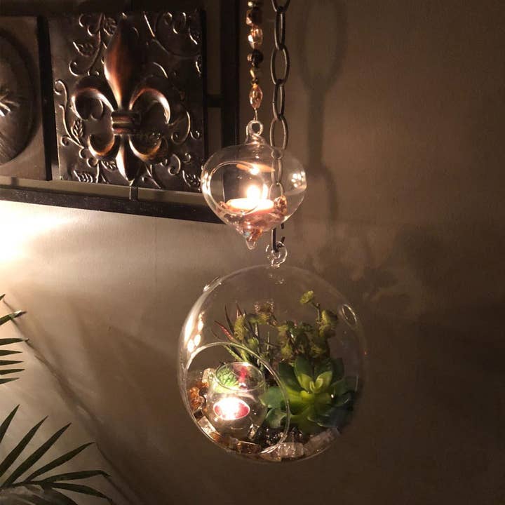 WGV International - Wholesale Terrarium - WGV Clear Hanging Glass Terrarium - 8" x 9"H
