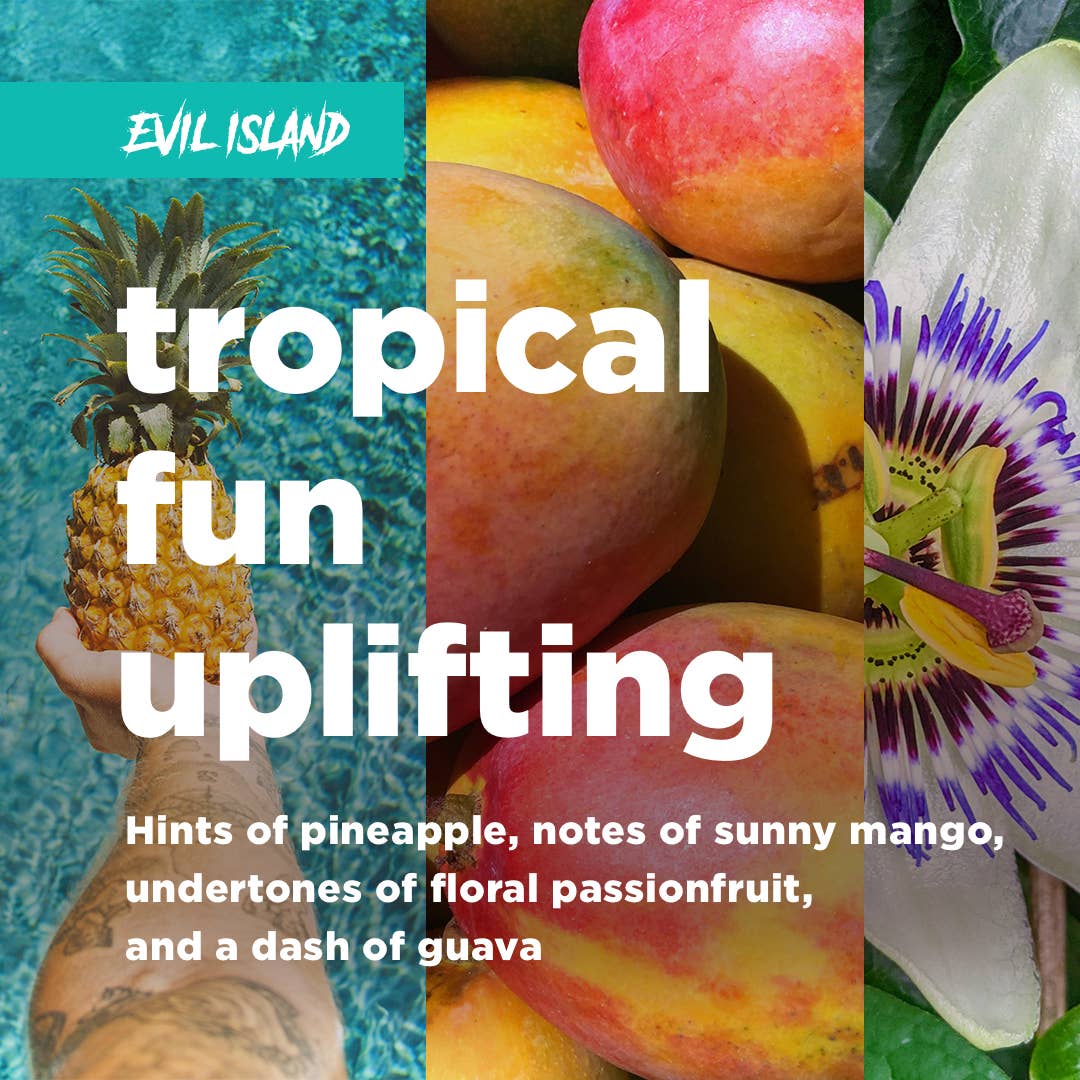 Deadless - Adaptogenic Elixir - Wholesale Non-Alcoholic Aperitif/Mocktail - Variety Pack Sparkling Adaptogen + Nootropic Elixir 12-pack6