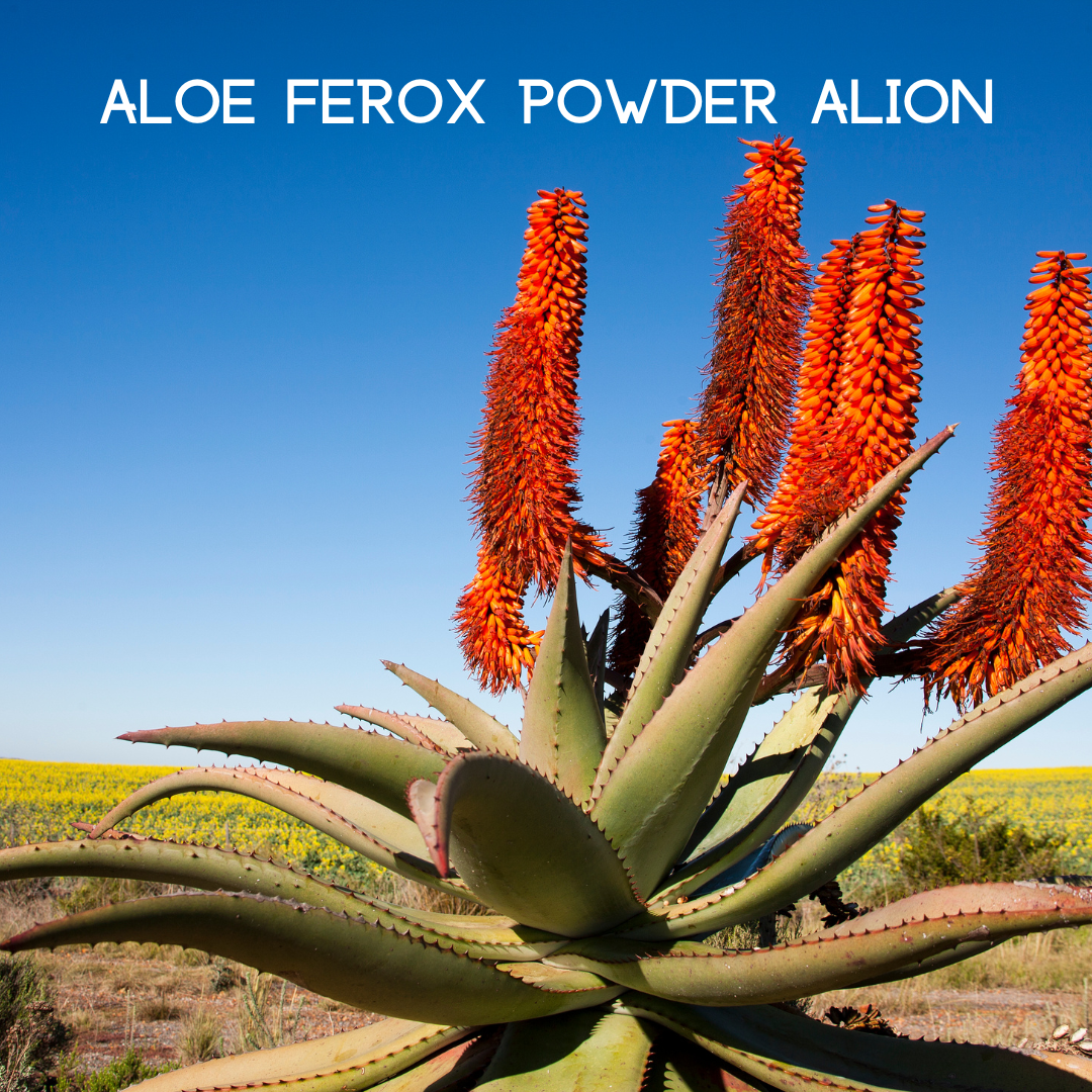 My Balance - Wholesale Oral Supplement/Vitamin - Colon Cleanse5