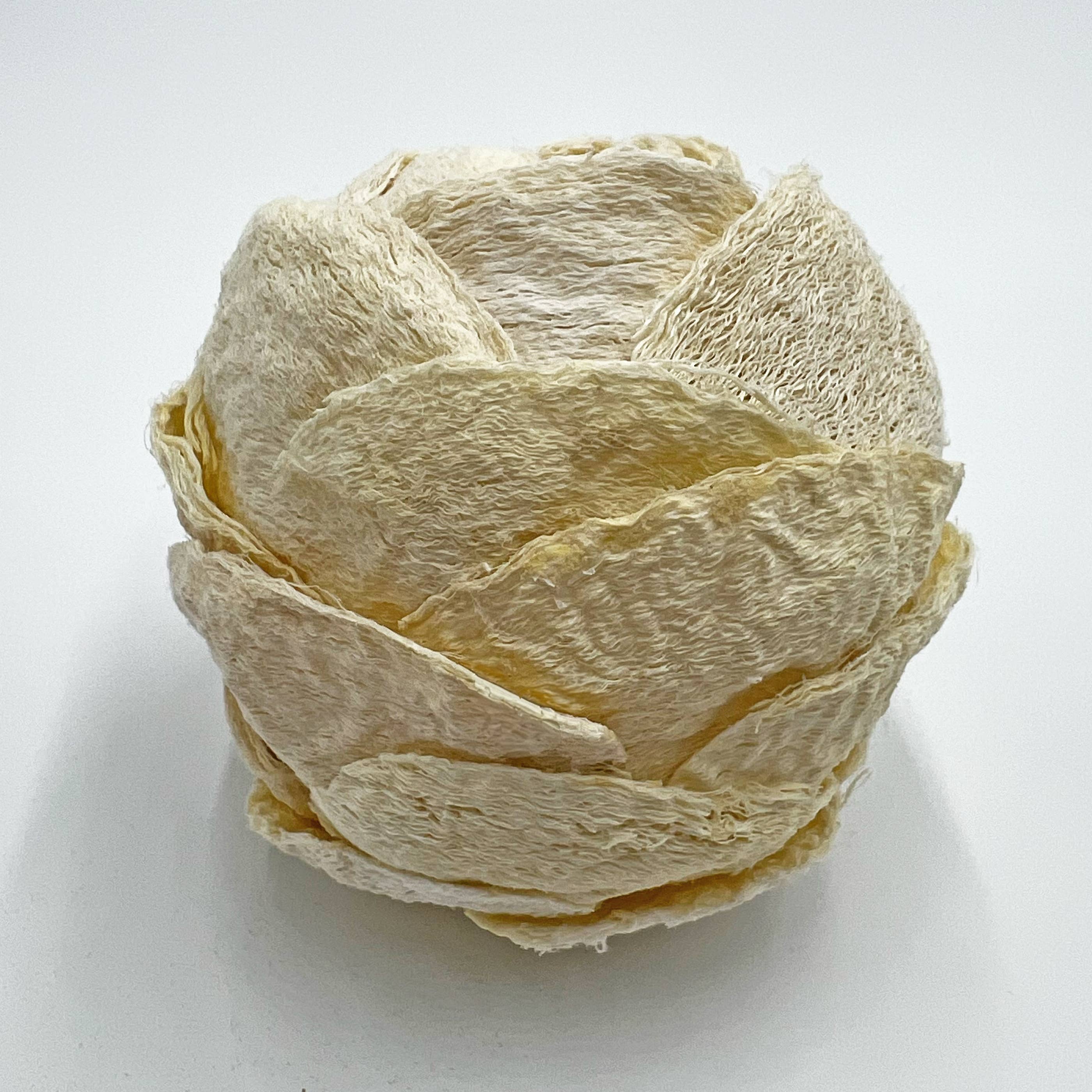 2626 Designs – wholesale Konstgjord växt – Låda med 4 konserverade dekorativa barrträd Pinecone Topiary Bollar7