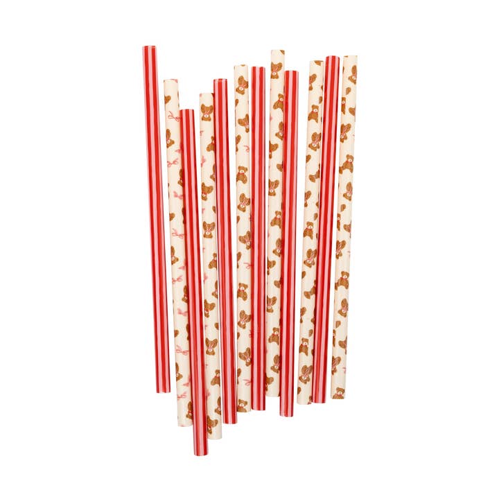 BER1216 - Occasions Beary Loved Reusable Straws for wholesale by My Mind’s Eye