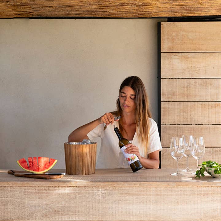 Andrea House - Wholesale Ice Bucket - Wood and stainless steel ice bucket3