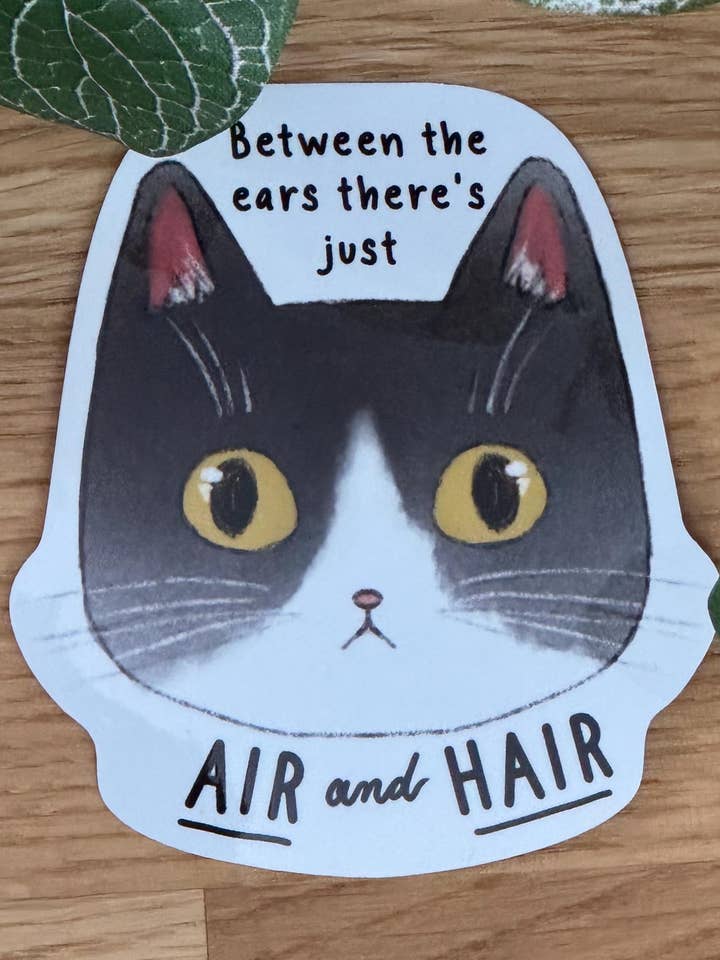 Nothing but Hair and Air Silly Cat Sticker - Waterproof for wholesale by Housecat Creative
