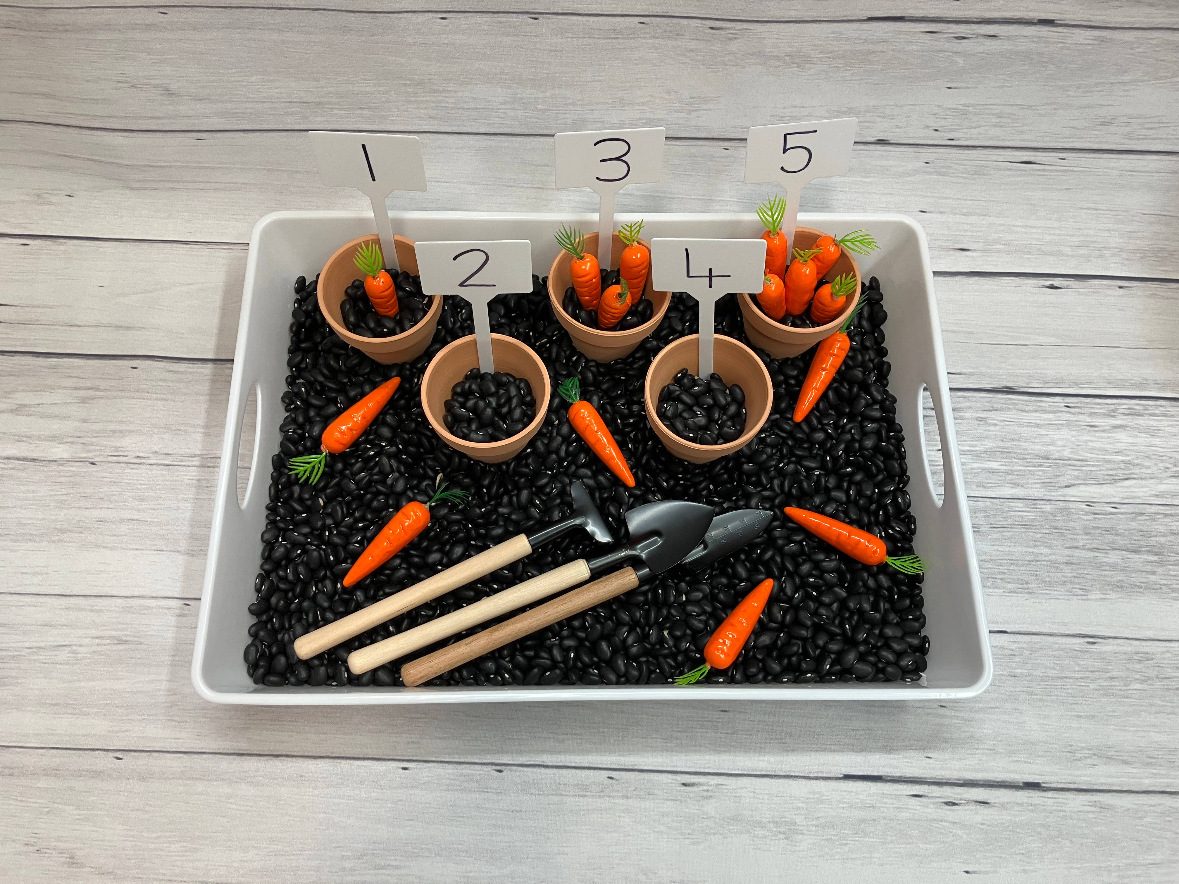 Curious Learning and Sensory – wholesale Leksaksset - Barn – Trädgårdssensorisk låda, Sensoriska lådor för barn, Trädgårdssensorisk3