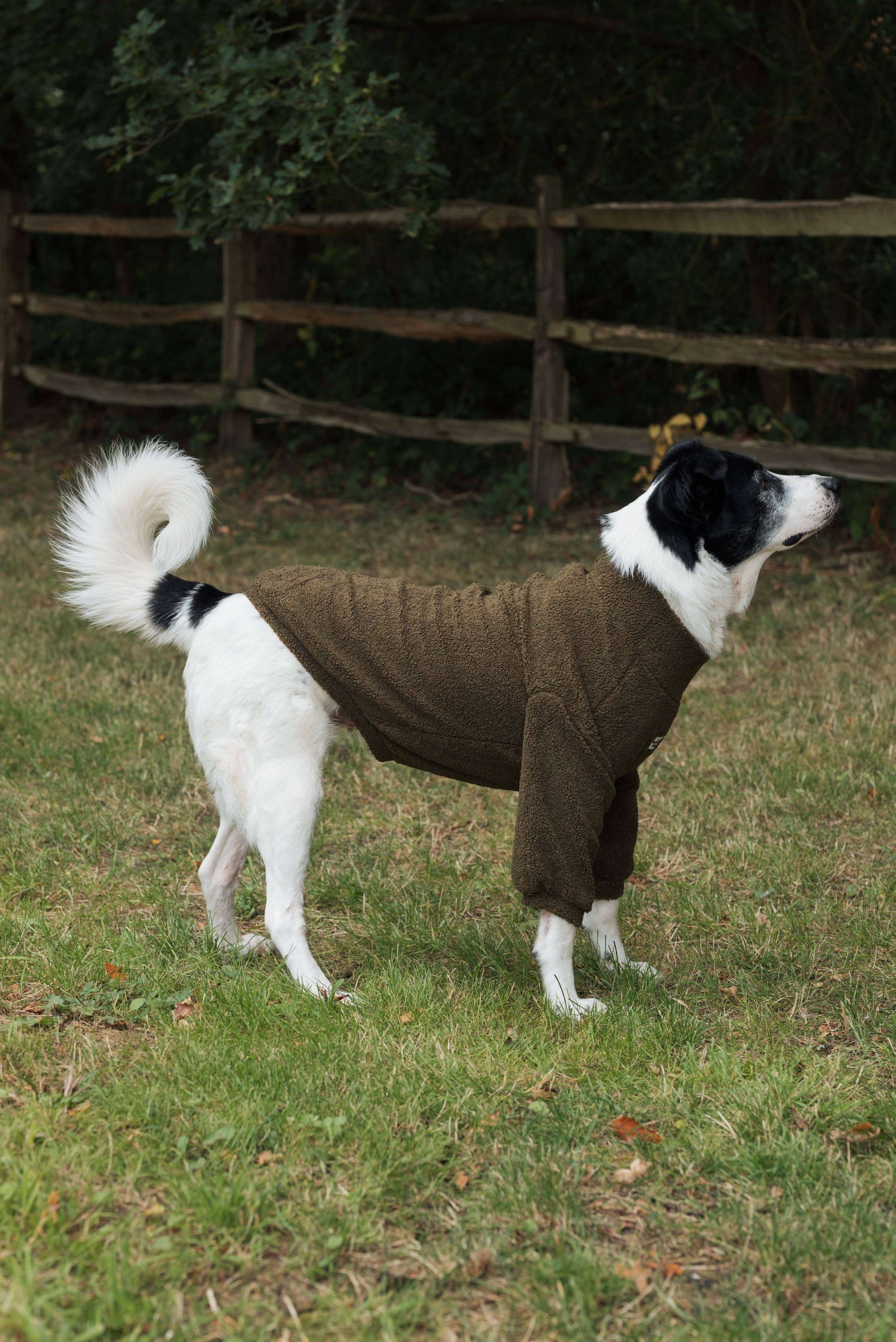 The Paw Print Boutique – wholesale Pet jumper – Dog – Teddy Fleece - Khaki5