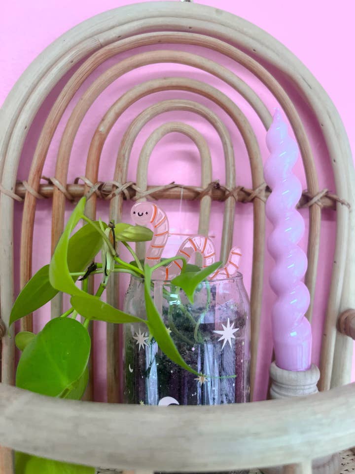 Worm Plant Pal for wholesale by Jollie Ollie Designs