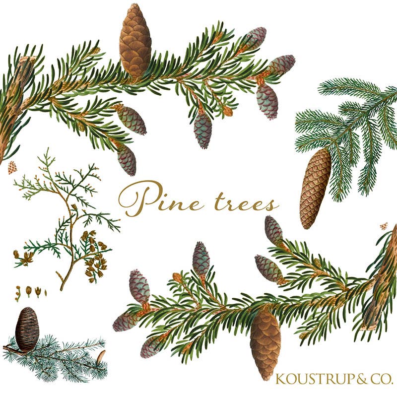 Koustrupco - Wholesale Everyday Greeting Card - Pine trees Square cardfolder w/ 8 cards and envelopes3