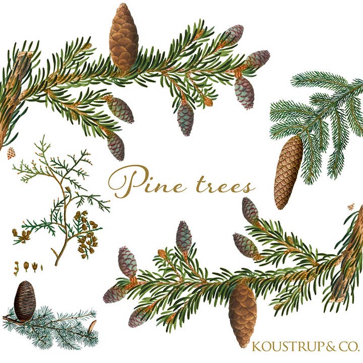 Koustrupco - Wholesale Everyday greeting card - Pine trees Square cardfolder w/ 8 cards and envelopes3