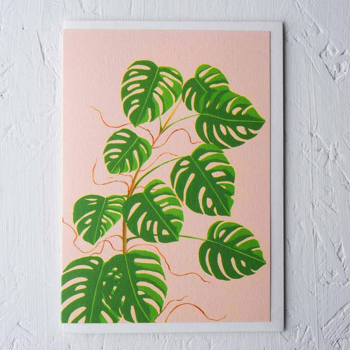 Stengun Drawings – wholesale Everyday greeting card – Monstera Greeting card