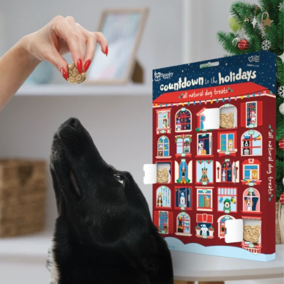 Elite Pet Distributors – Großhandel Leckerlis – Hund – Spunky Pup Countdown zum Feiertags-Adventskalender4