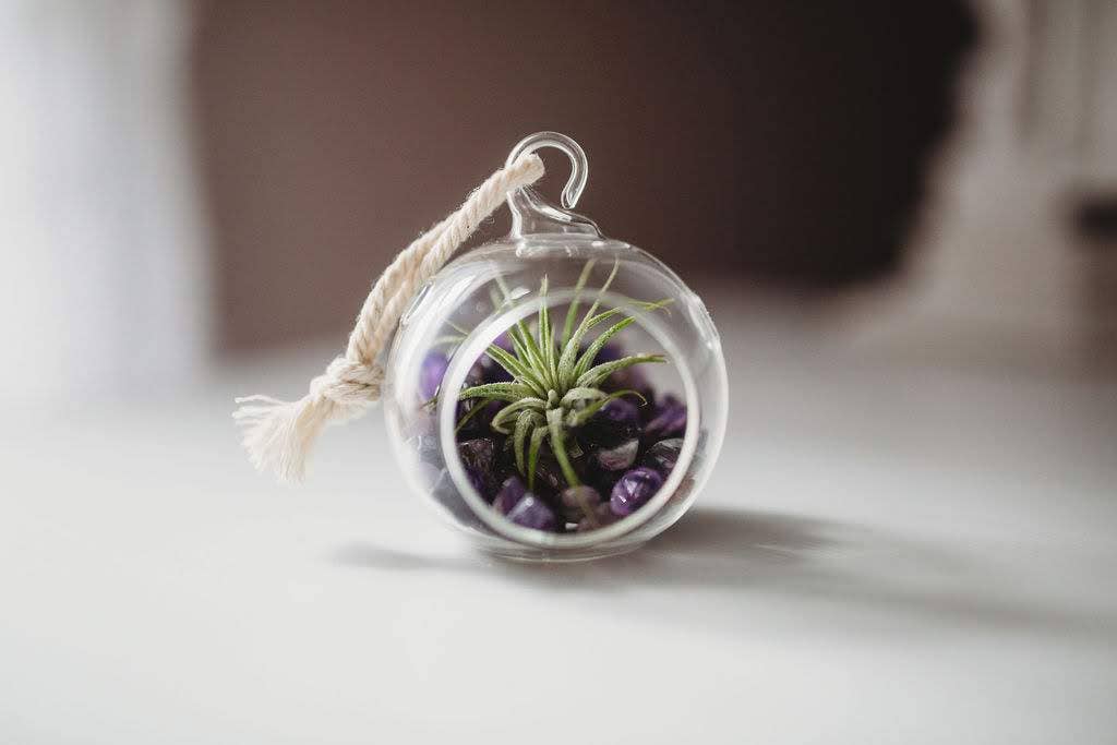 The Simply Crafty Shop - Wholesale Terrarium - Mini Orb Air Plant Terrarium Kit - Semi-Precious Stone0